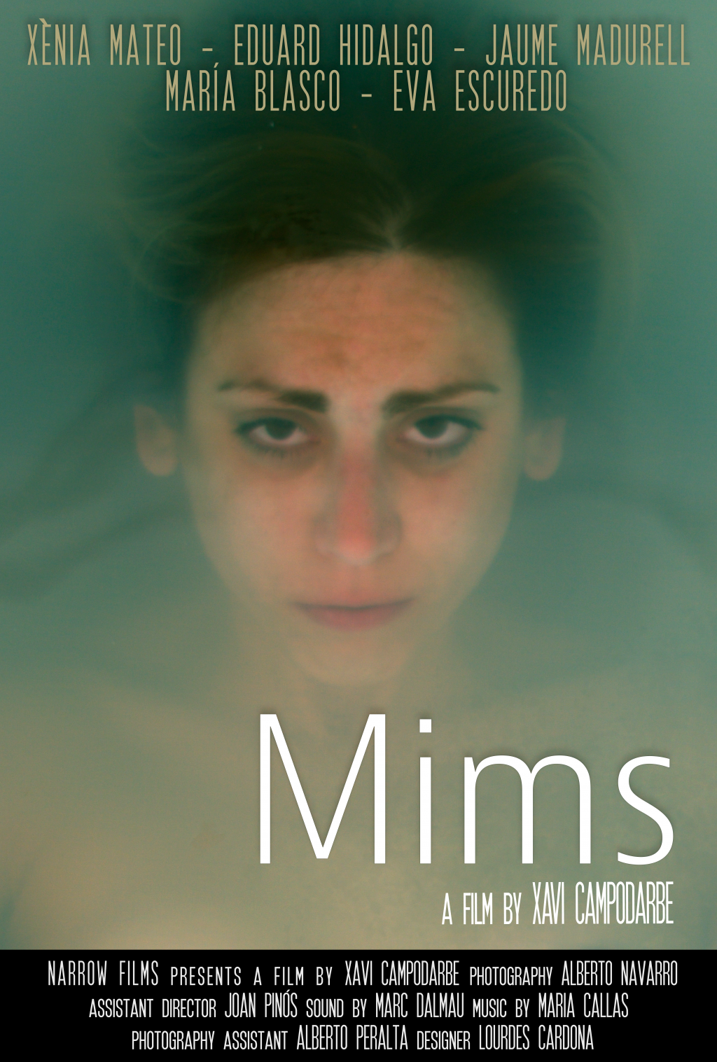 poster_mims_final[1]